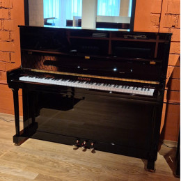 - Andere Marke - Fischer 123 von 2010 in Black glossy