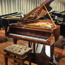 Fazioli F-212 von 2010 in Walnut glossy