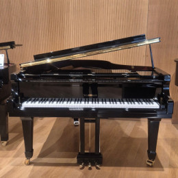 W.Hoffmann V-175 von 2022 in Black glossy