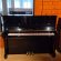 Yamaha b3 von 2019 in Black glossy