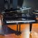 C. Bechstein B 203 von 1912 in Black glossy