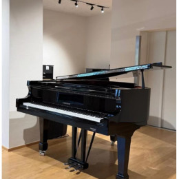 W.Hoffmann P-162 Silver Edition von 2013 in Black glossy