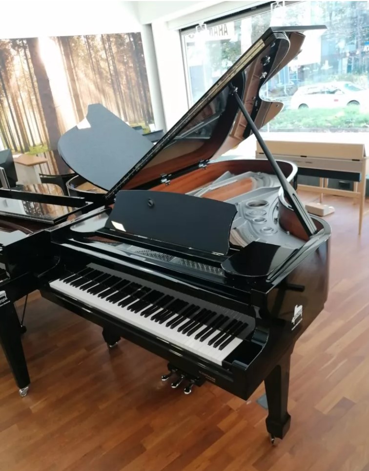 W.Hoffmann P-206 von 2018 in Black glossy