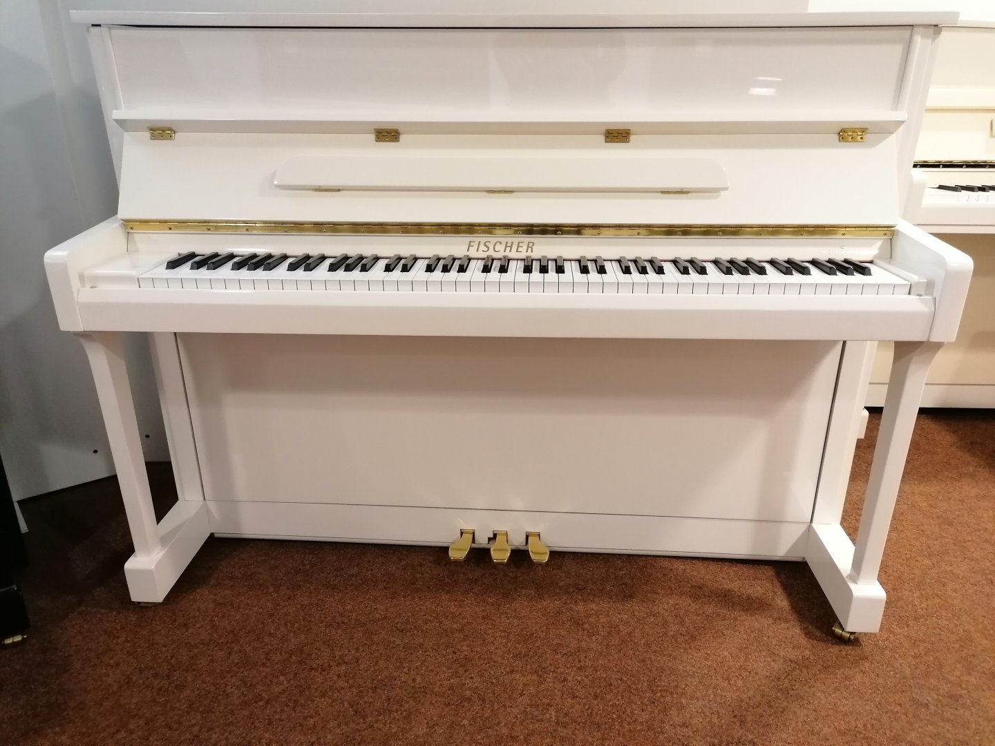 - Andere Marke - Fischer F-112 von 2007 in White glossy
