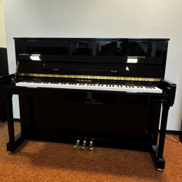 Zimmermann S2 von 2024 in Black glossy