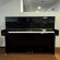 C. Bechstein 116 Millenium von 2010 in Black glossy