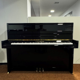 C. Bechstein 116 Millenium von 2010 in Black glossy