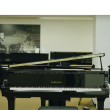 Yamaha DGB-1 Enspire von 2024 in Black glossy
