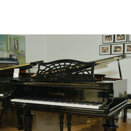 C. Bechstein B-203 von 1921 in Black glossy