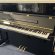 Schimmel F 121 Tradition von 2020 in Black glossy