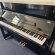 Schimmel F 121 Tradition von 2020 in Black glossy