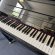 Schimmel F 121 Tradition von 2020 in Black glossy