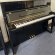 Schimmel F 121 Tradition von 2020 in Black glossy