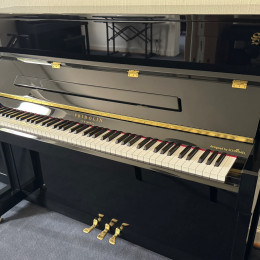 Schimmel F 121 Tradition von 2020 in Black glossy