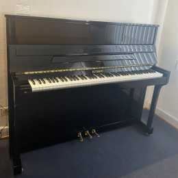 Euterpe E 120 von 2003 in Black glossy