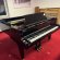 Schimmel C 169 GP von 2001 in Black glossy