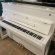 Schimmel Fridolin F 116 Tradition von 26 in White glossy