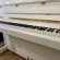 Schimmel Fridolin F 116 Tradition von 26 in White glossy