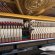 C. Bechstein Concert 8 von 2011 in Black glossy