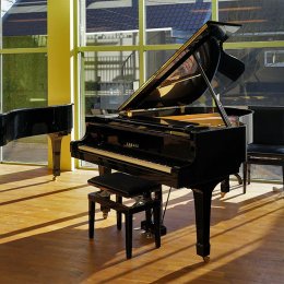 Yamaha C3 D von 1983 in Black glossy