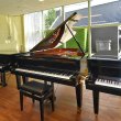 Schimmel C213 T von 2018 in Black glossy