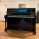 Wilh. Steinberg IQ16 von 1997 in Black glossy
