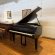Schimmel 174T von 1968 in Black matt