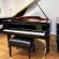 Schimmel K-189 von 1012 in Black glossy