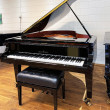 Schimmel K-189 von 1012 in Black glossy