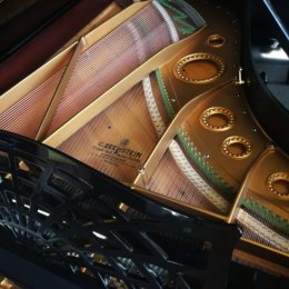 C. Bechstein A 185 von 1919 in Black glossy