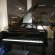 C. Bechstein B 210 von 1929 in Black glossy