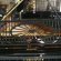 C. Bechstein B 210 von 1929 in Black glossy