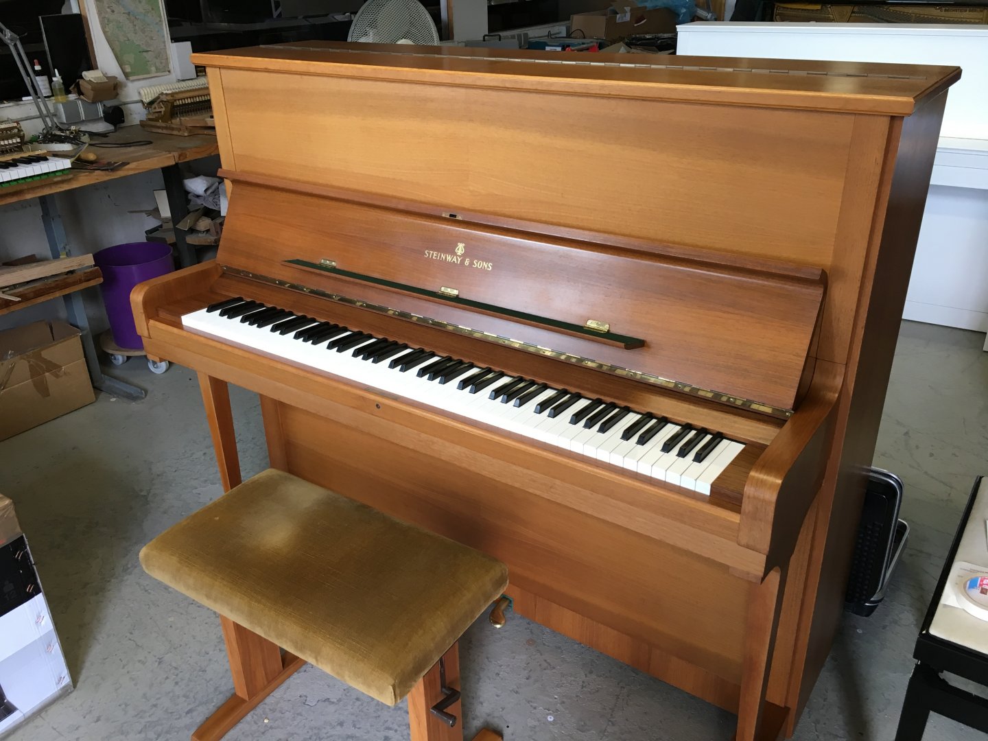 Steinway & Sons V 125 von 1980 in Walnut matt