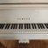 Yamaha GB1 von 2019 in White glossy