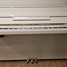 Yamaha b1 SG2 von 2012 in White glossy