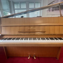 Steinway & Sons Z von 1971 in Walnut matt