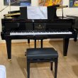 Schimmel F 156 Tradition von 24 in Black glossy