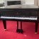 Schimmel F 156 Tradition von 24 in Black glossy