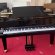 Schimmel F 156 Tradition von 24 in Black glossy