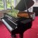 Schimmel F 156 Tradition von 24 in Black glossy