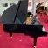 Schimmel F 156 Tradition von 24 in Black glossy
