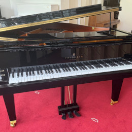Schimmel F 156 Tradition von 24 in Black glossy