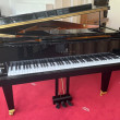 Schimmel F 156 Tradition von 24 in Black glossy