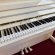 Schimmel W 114 Tradition von 2018 in White glossy
