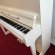 Schimmel W 114 Tradition von 2018 in White glossy
