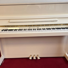 Schimmel W 114 Tradition von 2018 in White glossy