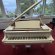 Yamaha C1X TA PWH mit SH SILENT von 2019 in White glossy