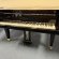 Schimmel Fridolin F 156 Tradition von 25 in Black glossy