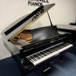 Schimmel Fridolin F 156 Tradition von 25 in Black glossy