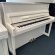 Schimmel Fridolin F 121 Tradition von 25 in White glossy